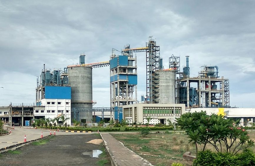 Birla White KatniPlant