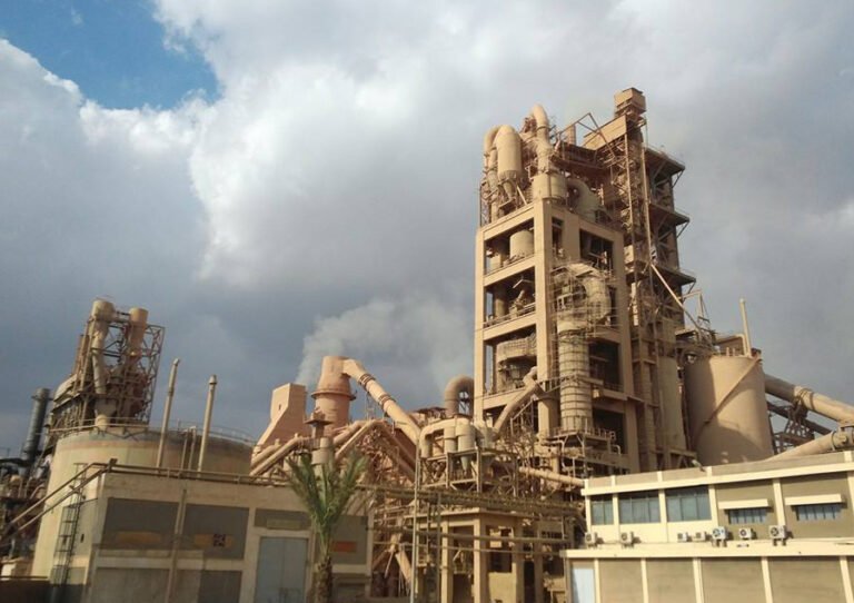 DCL Plant 1 1