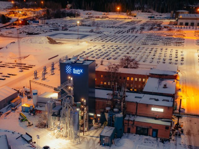 Sweden’s Salt X received US$ 1.5m R&D grant
